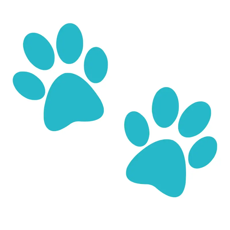 blue cute paws icon