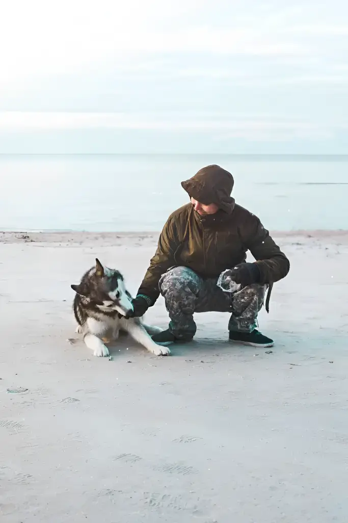 husky with fur parent