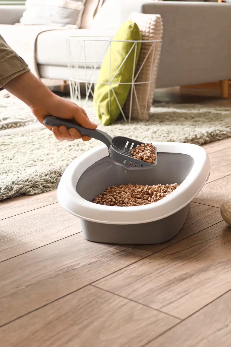 a person scooping cat litter from a large container on a wooden floor in a living room