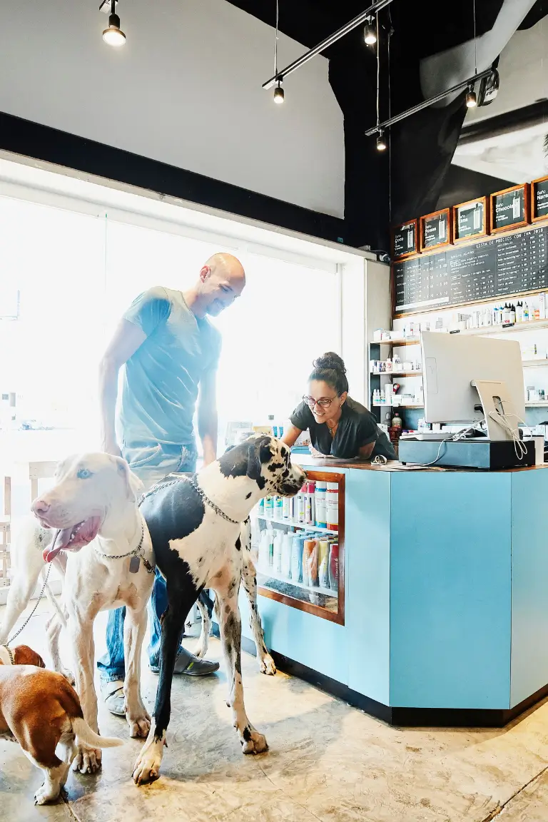 person with dogs in a store