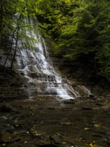 a serene view of Grime’s Glen waterfall in Rochester, NY, showcasing cascading waters amidst a lush green forest, highlighting the natural beauty and tranquility of the area