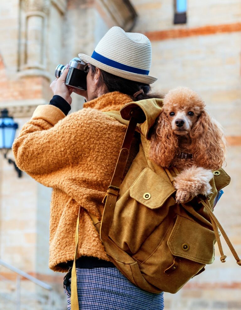 5 Surprising Benefits of Traveling with Your Furry Friend