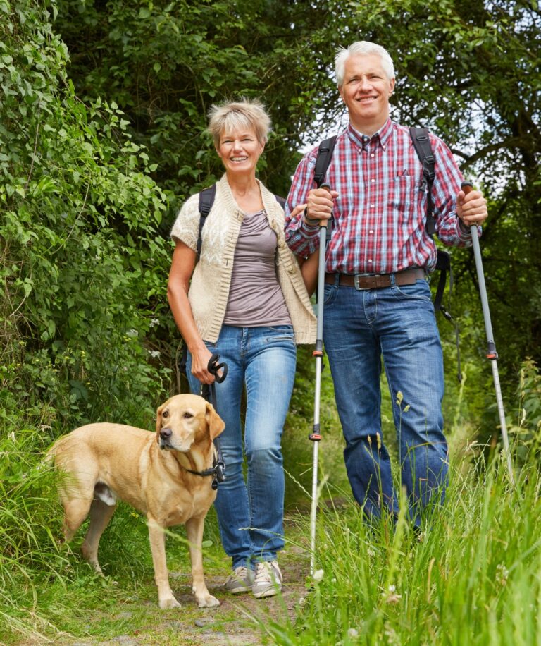 What Are Great Dogs for Traveling Seniors?