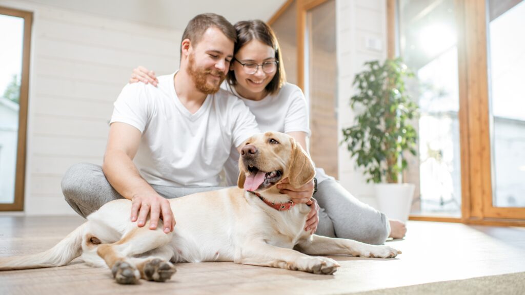 a man and woman helping dog adjust to a new home.