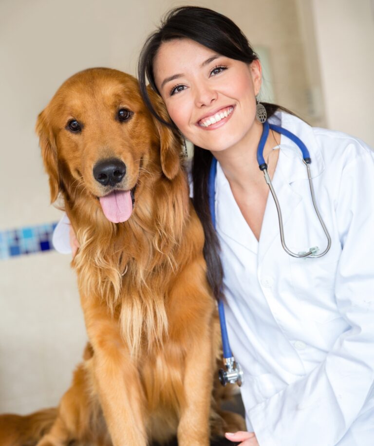 How to Choose the Right Vet for Your Pet