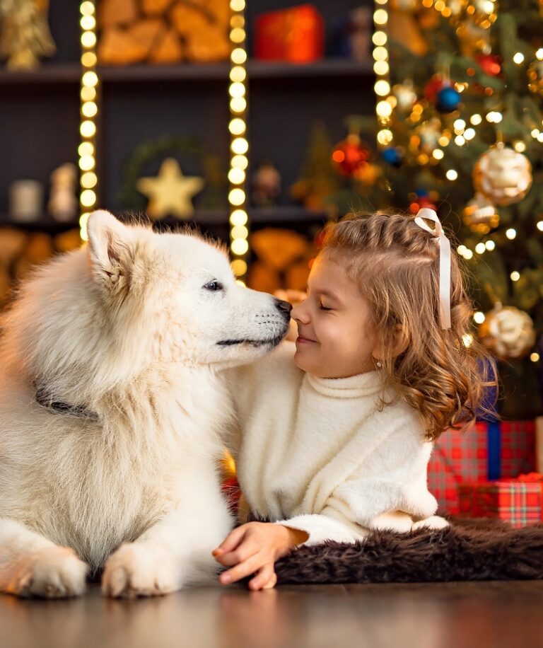 kid having fun with dog in holidays