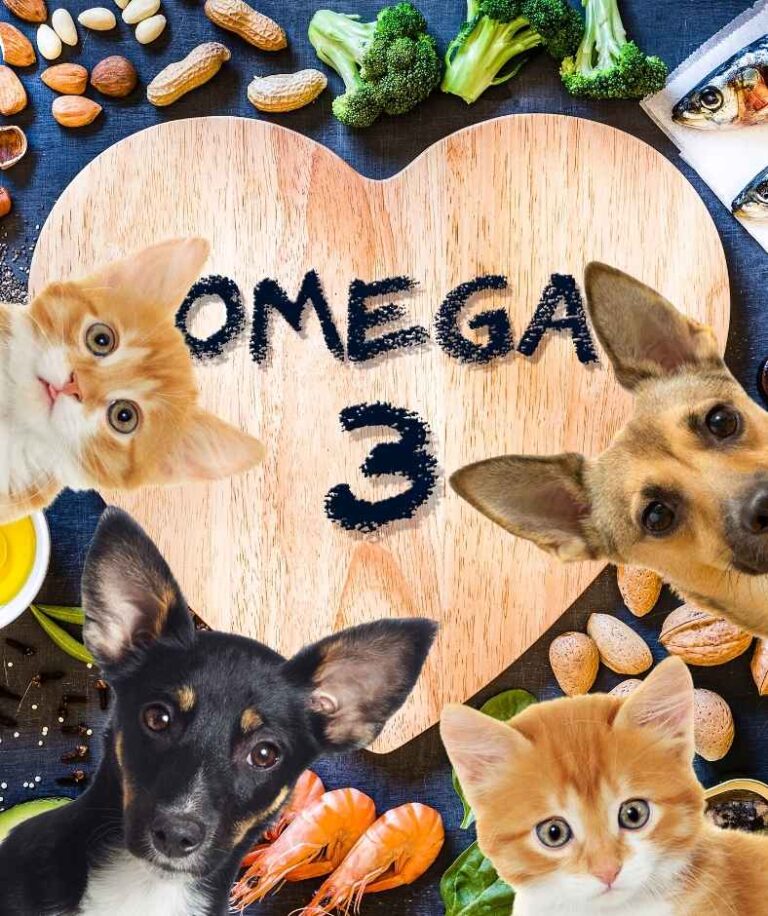 omega-3