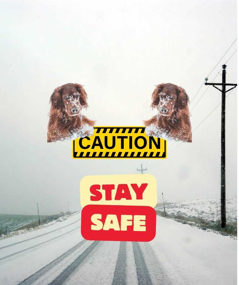 caution, stay safe