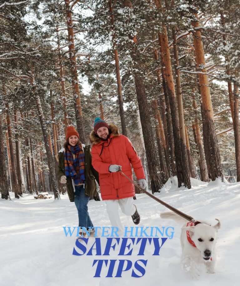 winter travel, safety tips