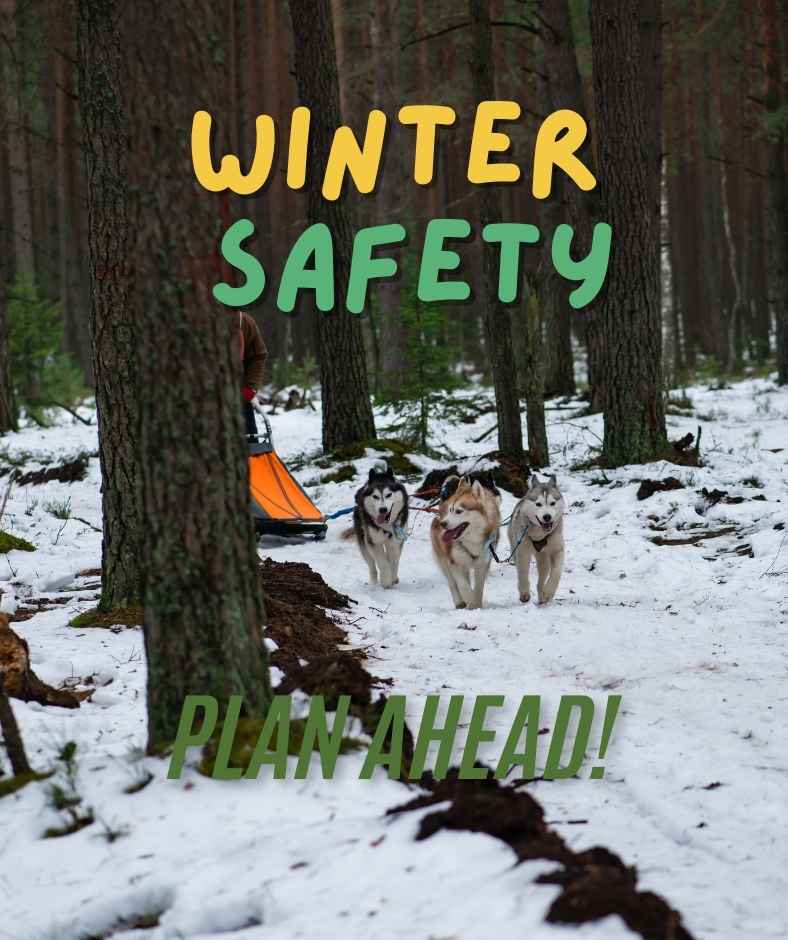 winter travel safety