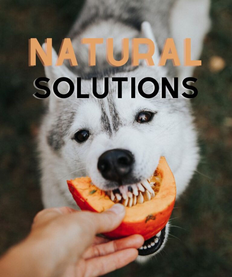 Natural Solutions