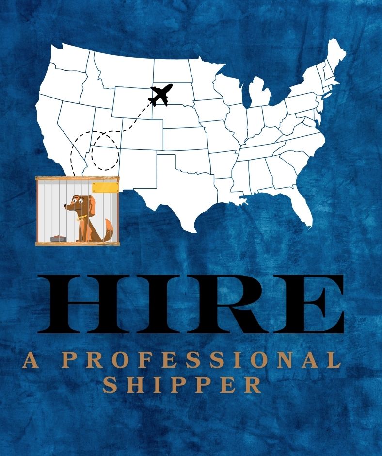 hire a professional shipper