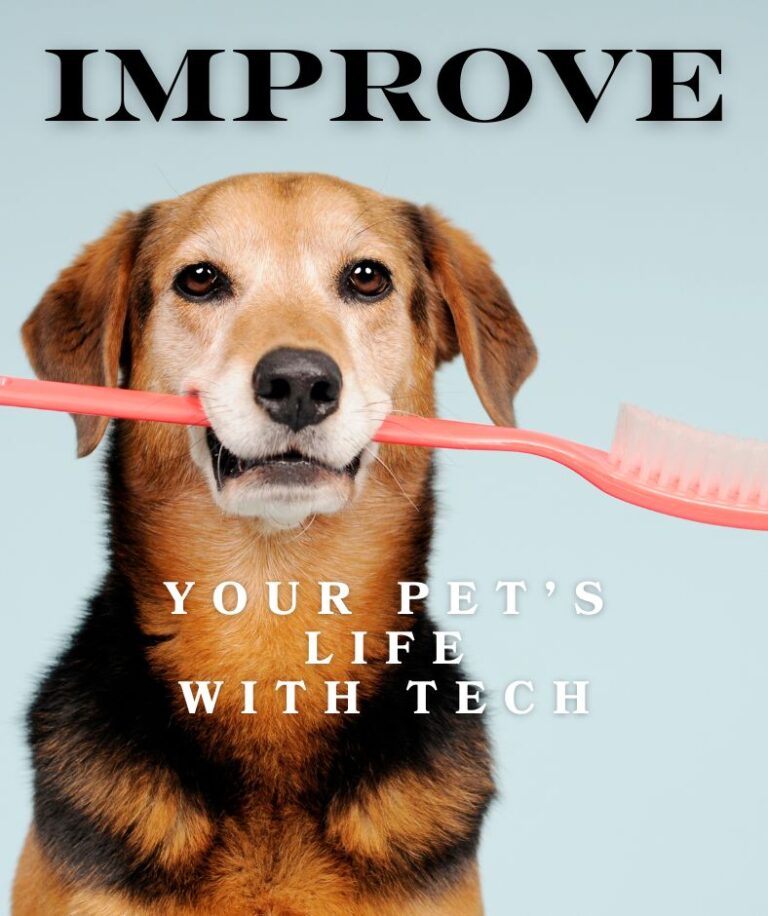 improve your pet's life