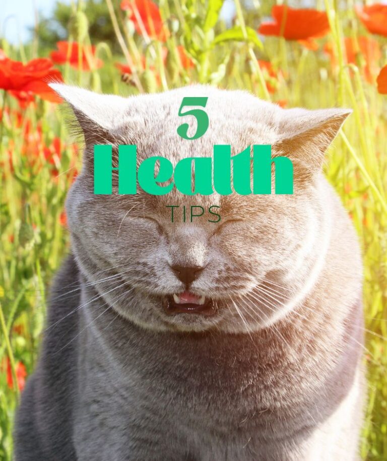 Health Tips