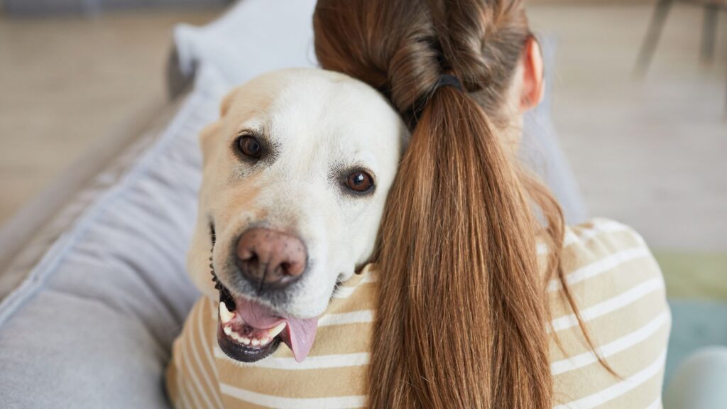 Cuddle with dog