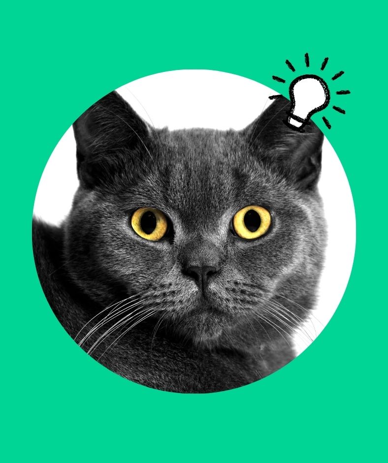 Independent Thinker