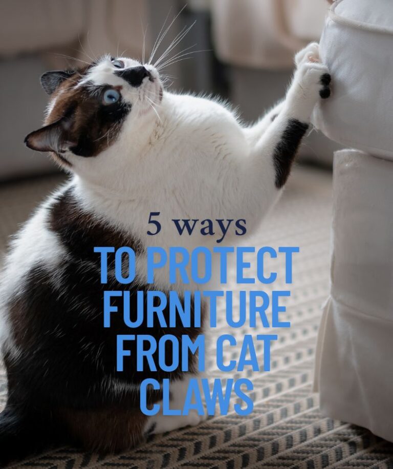 5 ways to protect your furniture