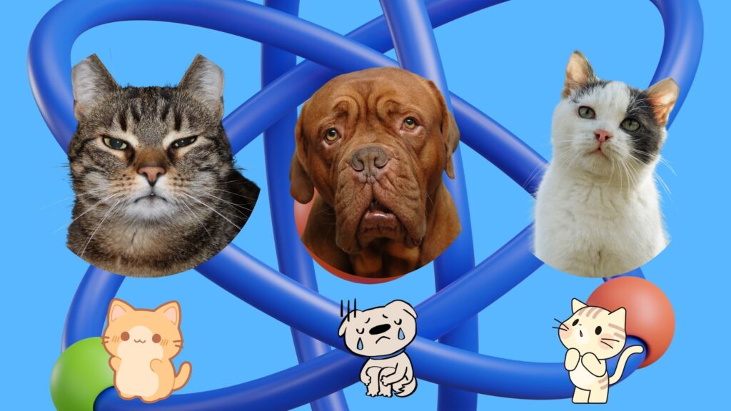 The Science Behind Pet Emotions